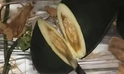 Gõ dưa giữa đêm, người đàn ông gây sốt mạng, kiếm hàng trăm triệu/tháng