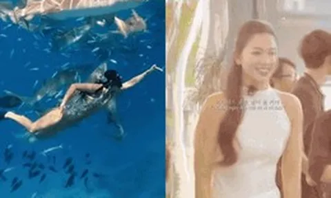 Ánh Viên hoá "tiểu tiên cá" xinh đẹp vẫy vùng giữa biển khơi, lên bờ lại là nàng thơ rạng rỡ vạn người mê