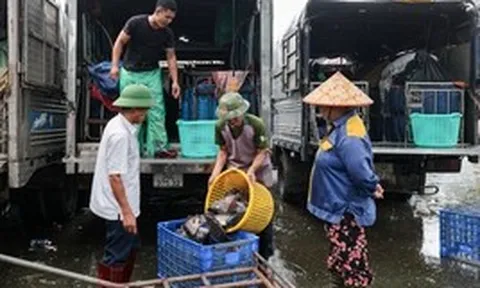 Cảnh ô nhiễm kéo dài tại chợ cá lớn nhất Hà Nội trước ngày bị giải tỏa