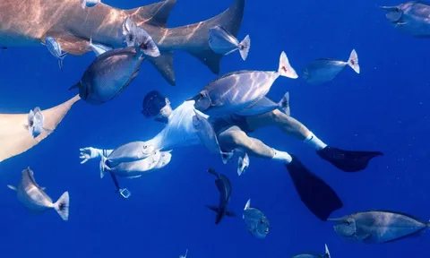 Không biết bơi có thể lặn biển không?