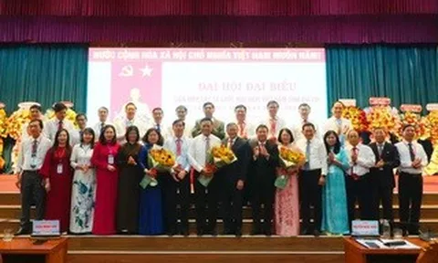 Ông Lê Kim Toàn được bầu giữ chức Chủ tịch Liên hiệp hữu nghị Gia Lai