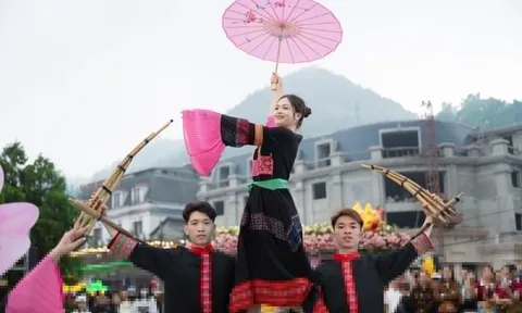 Mùa hoa hồng nhuộm sắc Fansipan, thu hút du khách dip lễ Giỗ Tổ