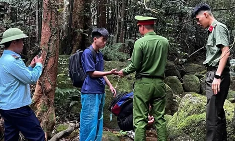 Cảnh báo sau vụ nam sinh đi lạc, bị ong đốt trong rừng Tây Yên Tử