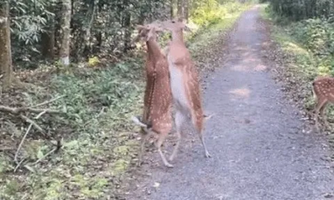 VQG Cúc Phương khuyến cáo