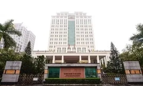 Bộ Nông nghiệp và Môi trường đề nghị giữ nguyên Cục, Vụ, giảm mạnh cấp phòng