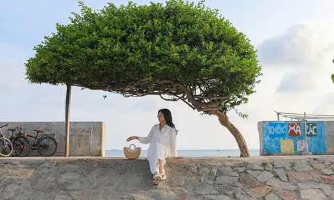 Mùa nghỉ lễ 'thắng đậm' của Măng Đen, Phú Quý