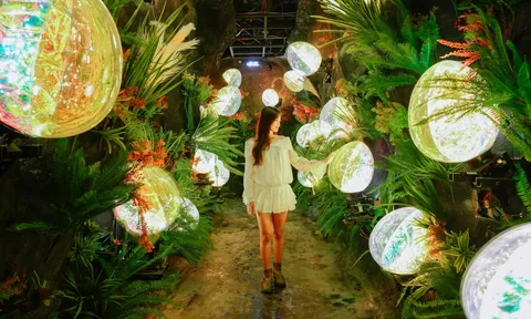 Cận cảnh không gian nghệ thuật ánh sáng tương tác vừa ra mắt tại Bà Nà