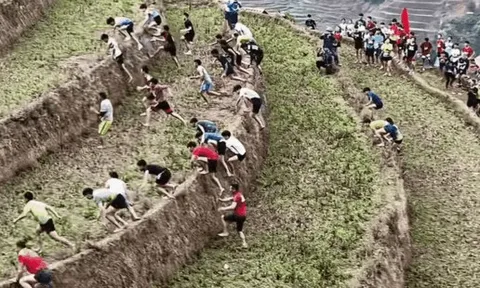 Nữ runner 'chào thua' khi leo 100 ruộng bậc thang ở Mù Cang Chải