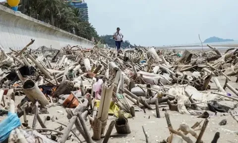 Cảnh tượng 'kinh hoàng' ở bãi biển nổi tiếng Thanh Hóa