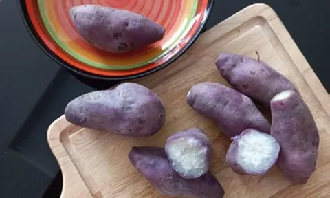Luộc khoai lang bao lâu thì chín và bở?