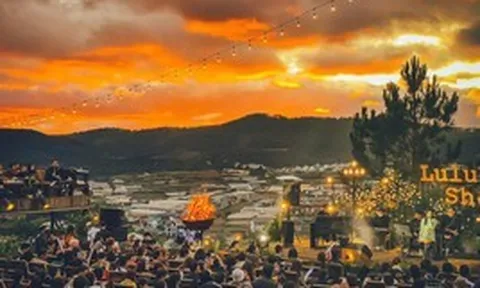 Trước khi bị khởi tố, BH Media, Lululola, Mây Lang Thang... hoạt động như thế nào?
