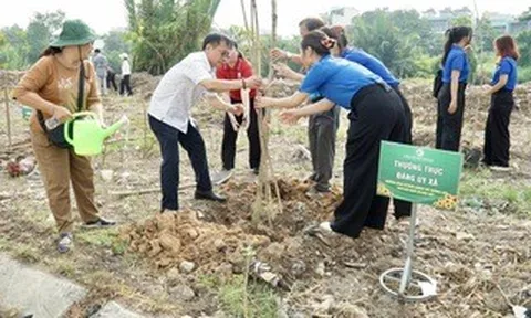 Xã Bình Hưng, TPHCM: Trồng hơn 1.800 cây xanh hưởng ứng "Đời đời nhớ ơn Bác Hồ"
