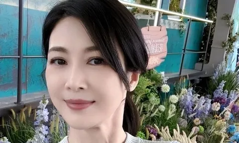 "Bạch nguyệt quang" của showbiz: U50 oằn mình trả nợ thay chồng