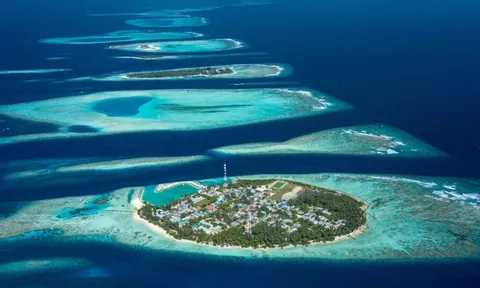 Điều tra thảm kịch lặn biển khiến 5 du khách thiệt mạng ở Maldives