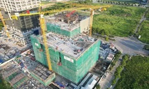 CMC lần đầu vượt doanh thu 10.000 tỷ đồng, lợi nhuận tăng 23% trong năm tài chính 2025
