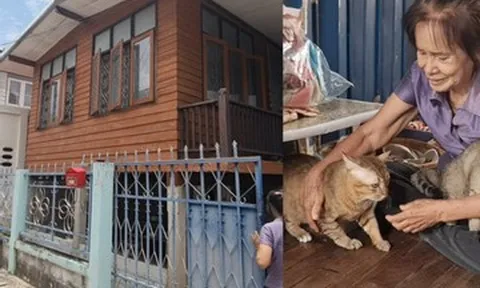 Bà lão 81 tuổi sống tằn tiện, dành tiền mua nhà hơn 800 triệu đồng cho mèo hoang