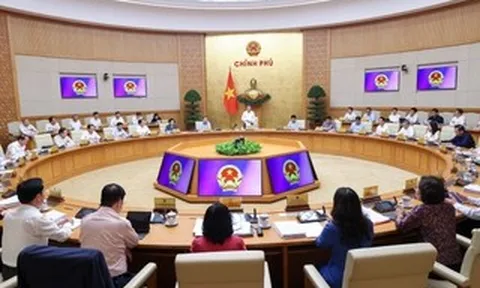 Cử người không đúng thành phần dự cuộc họp của Chính phủ sẽ bị phê bình công khai