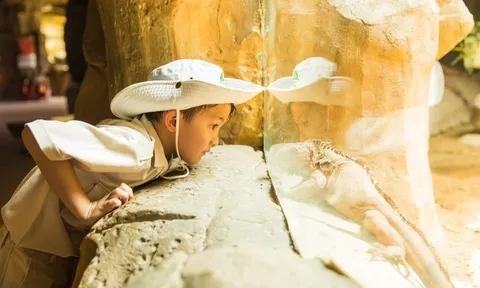 VinWonders cùng Quỹ Khuyến học trao mùa hè ý nghĩa cho trẻ em