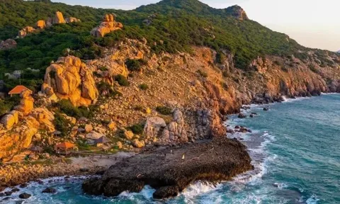 Chấn chỉnh trekking, camping ở Vườn Quốc gia Núi Chúa - Phước Bình
