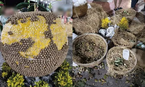 Nửa triệu khách đổ về lễ hội ở Đồng Tháp sau lùm xùm vặt trụi trái cây