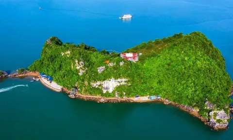 Bãi biển kín tiếng ở Việt Nam bất ngờ lọt top đẹp nhất thế giới