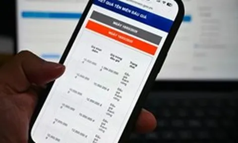 76 tên miền “.vn” sẽ được đấu giá đợt 2