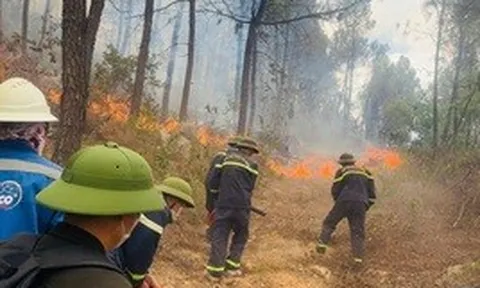 Cháy rừng bùng phát nhiều điểm ở Thanh Hóa, hơn 100 cán bộ, chiến sĩ căng mình dập lửa