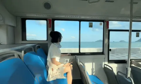 Tuyến xe buýt 'đẹp nhất' Côn Đảo