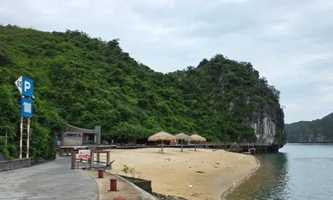 Hồi sinh bãi biển kín tiếng 'đẹp nhất thế giới' ở Việt Nam