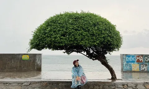Cảnh báo du khách đi Phú Quý đầu tháng 7