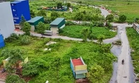 Đất đấu giá vùng ven Hà Nội bỏ trống nhiều năm, giá vẫn tăng gấp 3-4 lần