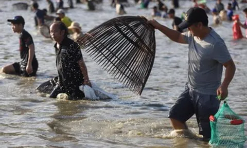 Hàng trăm người cùng lội nước săn cá ở Hà Tĩnh, nhiều người bắt được cá lớn