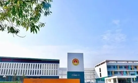 Bất ngờ nhóm học sinh vượt trội điểm Toán ở Tuyên Quang, rà soát lại khâu chấm thi