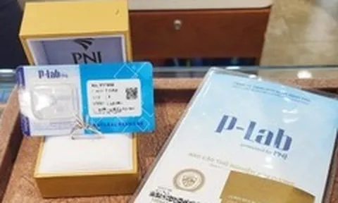 Từng công bố chiếm 70% thị phần kiểm định đá quý, P-Lab giữ vai trò gì tại PNJ?