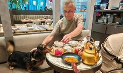Khách cho chó cùng ăn trên đĩa nhà hàng cao cấp gây làn sóng sợ hãi ở Hong Kong