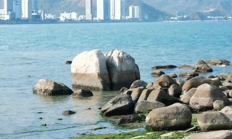 Khách vô tư bẻ san hô ở Hòn Chồng (Nha Trang)