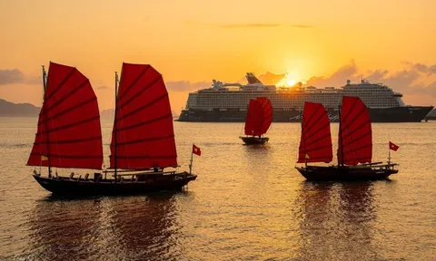 Sắp mở tour ngắm bình minh vịnh Hạ Long trên thuyền buồm 3 vách