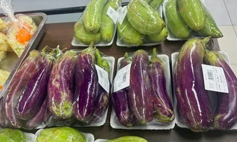 Cách làm cà tím xào thịt băm đậm đà, thơm ngon đơn giản tại nhà