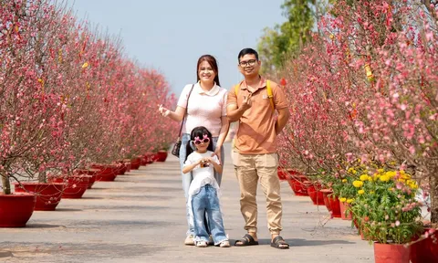 Tết hội ngập tràn trải nghiệm tại Vinhomes Green Paradise, khẳng định vị thế điểm đến mới của miền Nam