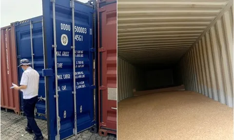 Doanh nghiệp khởi kiện Chi cục Hải quan khu vực III, yêu cầu bồi thường hơn 3,3 tỉ đồng