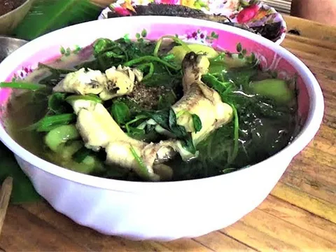 Nhớ hoài cá bống nấu canh tập tàng
