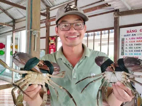Khách du lịch trải nghiệm câu cua ở Cà Mau