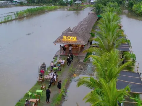 VIDEO: Độc lạ quán cà phê "Rơm" nằm giữa đồng lúa ở Cần Thơ
