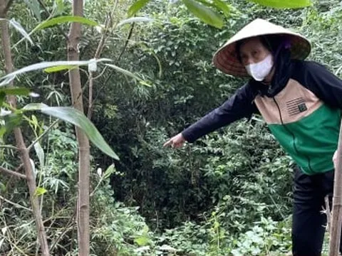 Bé 2 tuổi được tìm thấy sau 3 ngày: Sẽ làm rõ nguyên nhân mất tích