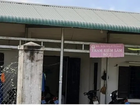 Trưởng trạm kiểm lâm ở Đắk Lắk tử vong do trúng đạn khi tuần tra rừng