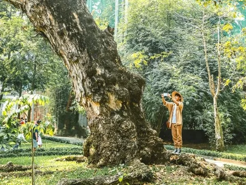 Nghỉ lễ càng dài, hết lễ càng uể oải