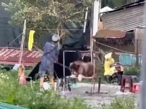 Chấm dứt lợi dụng vật nuôi để kinh doanh, chụp ảnh tại Đà Lạt