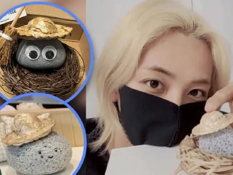 Xu hướng nuôi 'đá cưng' kỳ lạ của thanh niên Hàn Quốc