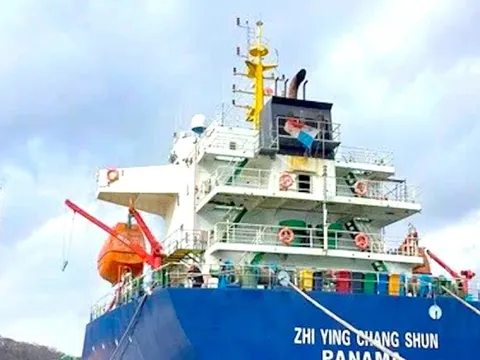 Lý do một tàu hàng từ Trung Quốc đến Quy Nhơn bị bắt giữ
