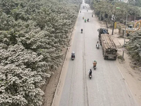 'Bão bụi' bao phủ đường cửa ngõ Hà Nội, cây cối chuyển màu trắng xóa